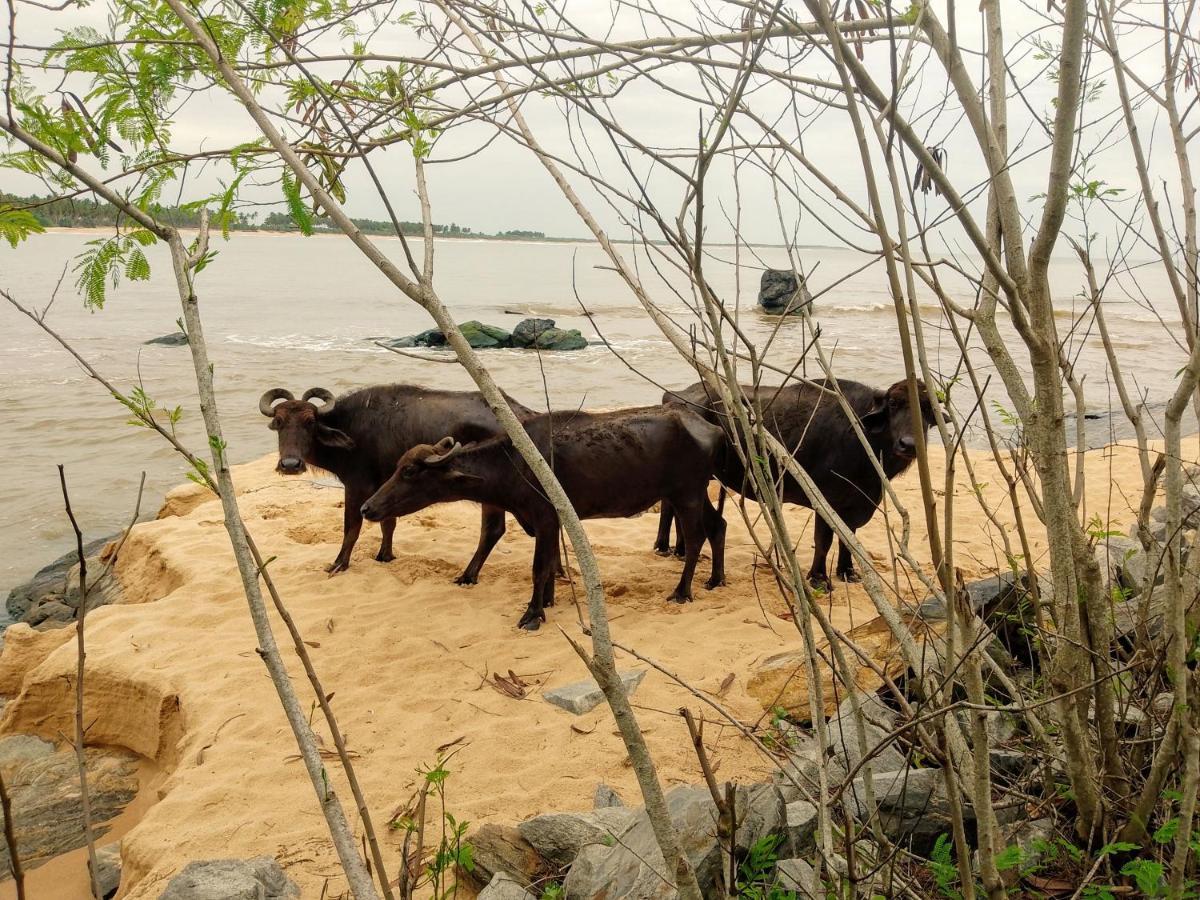 Kalimetiya Beach Cabana Hungama Bagian luar foto