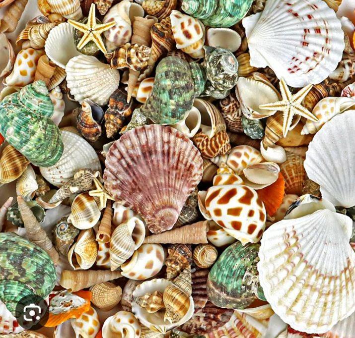 Kalimetiya Beach Cabana Hungama Bagian luar foto