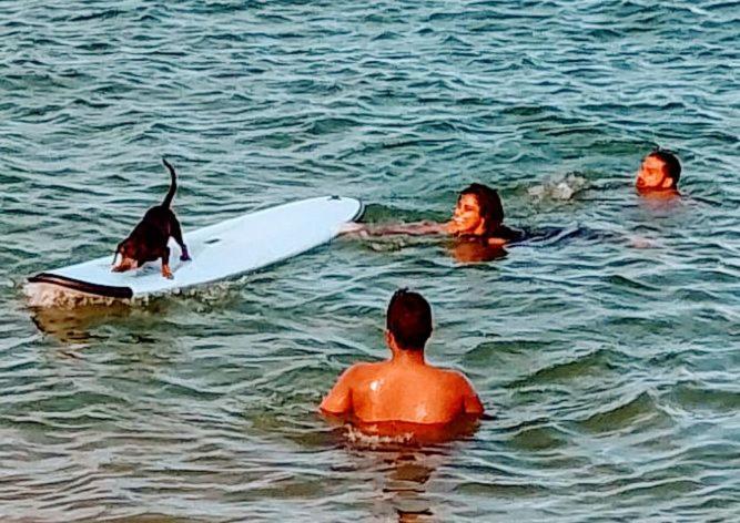 Kalimetiya Beach Cabana Hungama Bagian luar foto